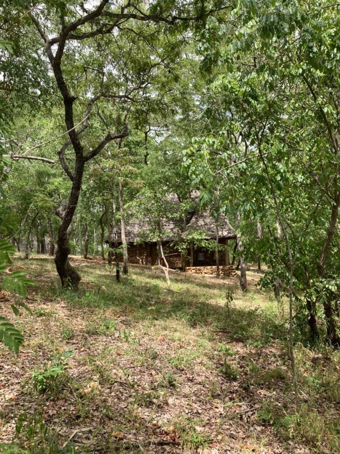 Lemara Eco Camp Hotel Kisaki Luaran gambar